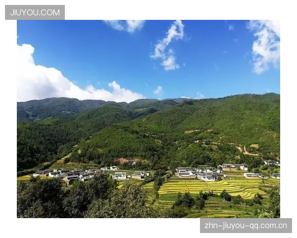 赵鹏：从“奔波”到“安徽”——如何在高速变革中找到属于自己的“安徽风格”